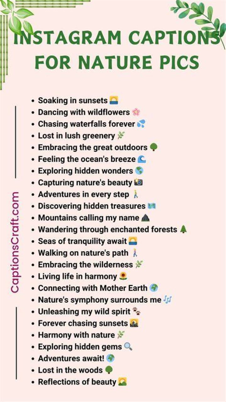 Instagram Quotes Captions, Come And Go, Stripping, Discover, Call