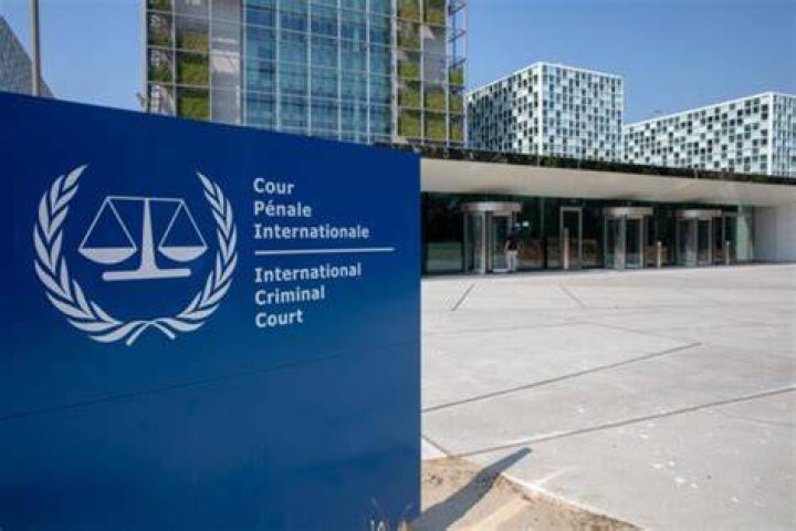 International Law Expert, Flexhacks