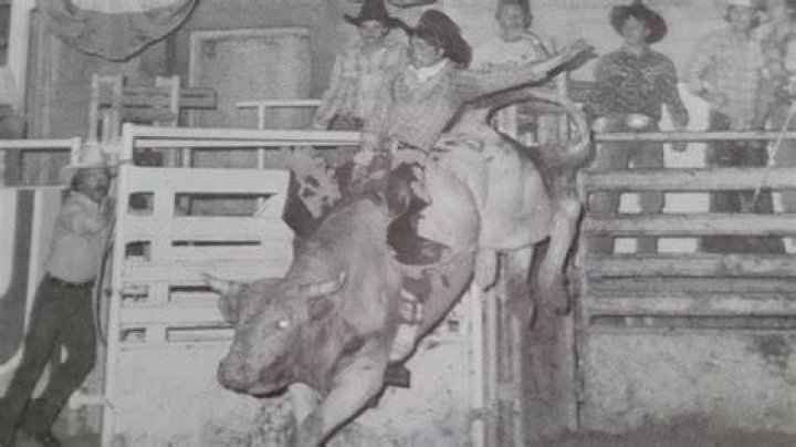 Irfaan Ali (1980 ) •