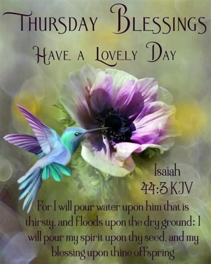 Isaiah Thursday Blessings Scripture Pictures, Photos, and Images for