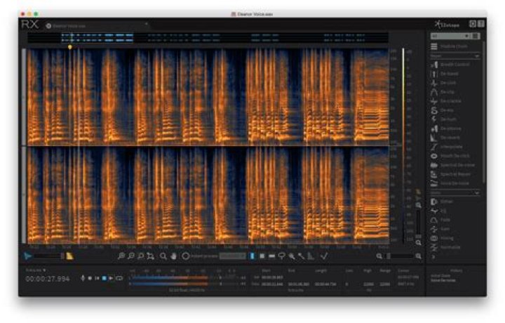 iZotope RX 6