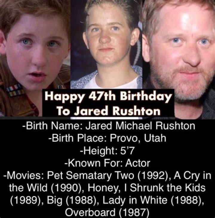 Jared Rushton — The Movie Database (TMDb)