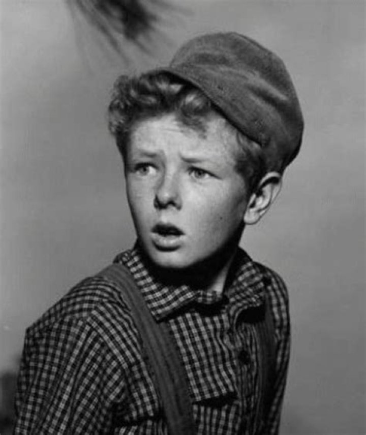 Jimmy Hunt Movies, Bio and Lists on MUBI