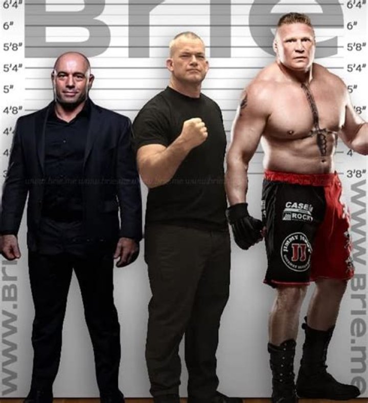 Jocko Willink Height Brie