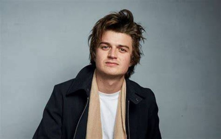 Joe Keery Age, Net Worth, Girlfriend, Family & Biography TheWikiFeed
