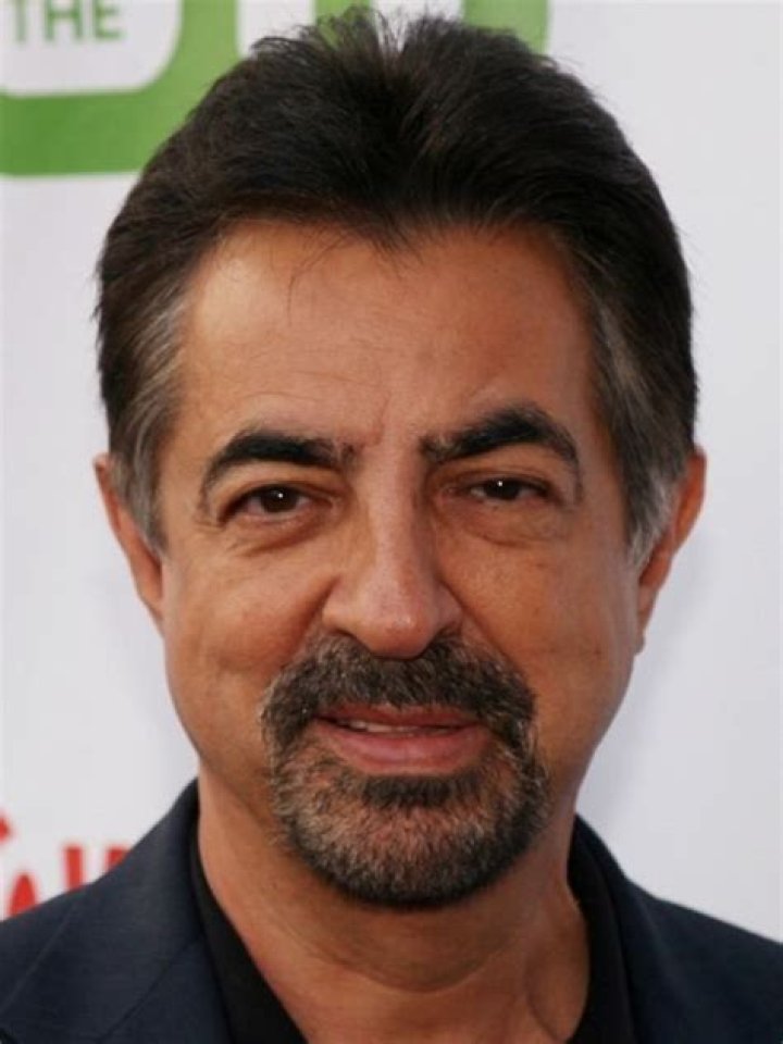 Joe Mantegna Alchetron, The Free Social Encyclopedia