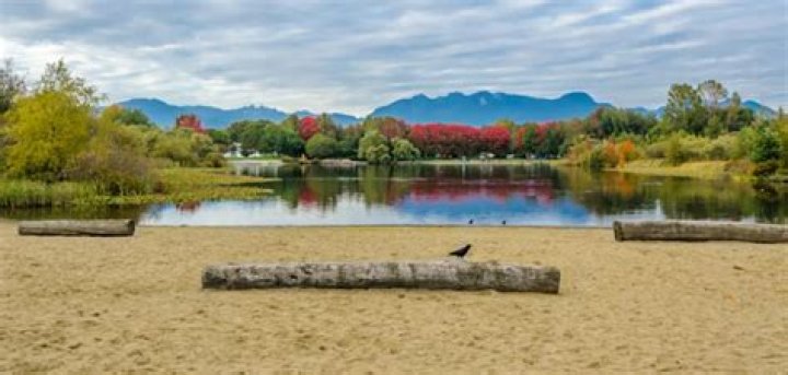 John Hendry Park (Trout Lake Park), 3300 Victoria Dr, Vancouver, BC V5N 4M4