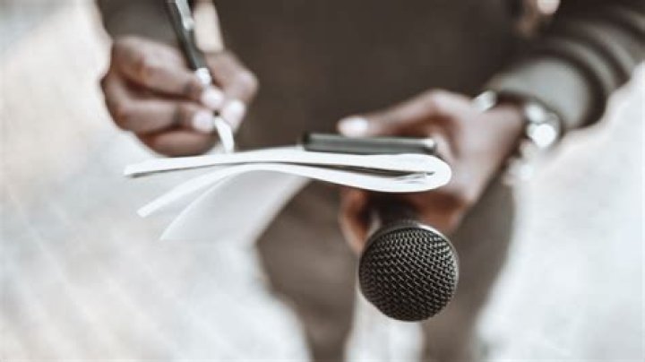 Journalistic Career, Globalinsightnet