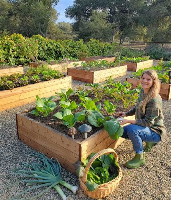 Julia and the organic garden team
