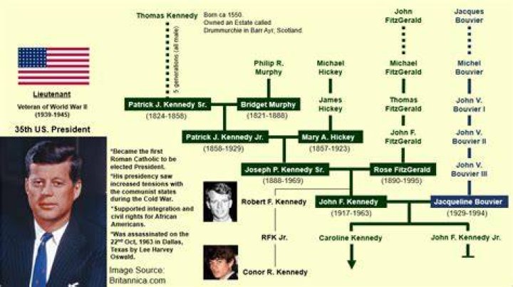 Kennedy family tree Special reports guardian.co.uk
