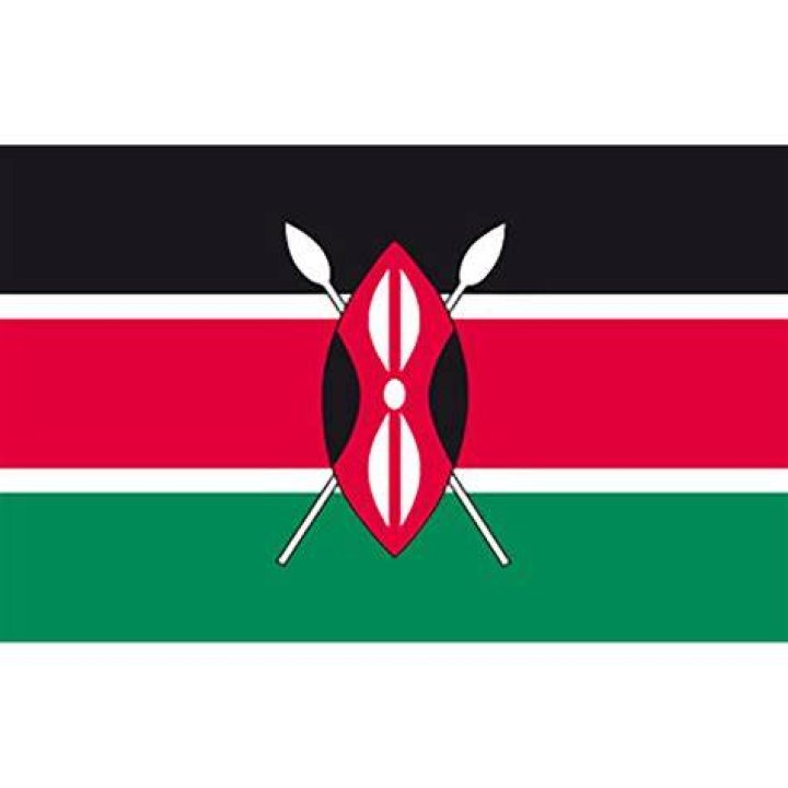 Kenya Kenyan Flag & Kenya Aluminum License Plate by World_Flags_and