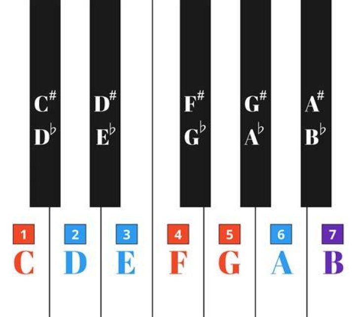 Key scale selected