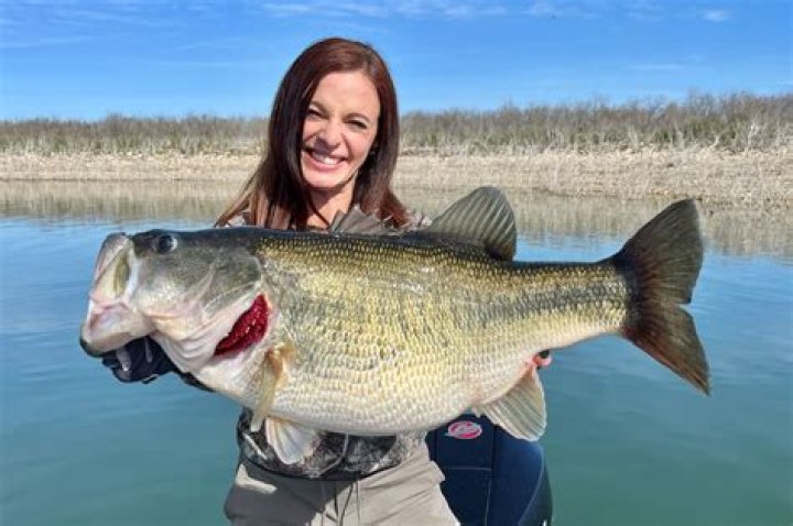 Large Mouth, Gsctwo