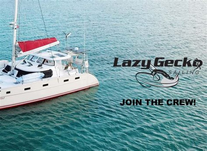 Lazy Gecko Sailing Patreon Telegraph