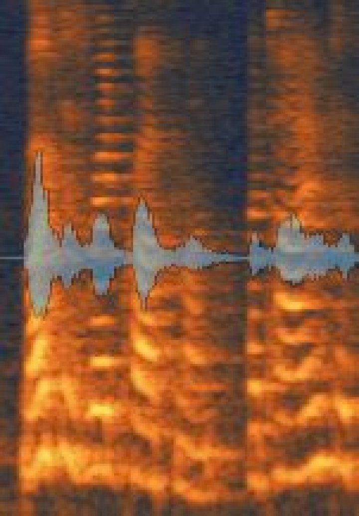 Left: Recording of distant speaker