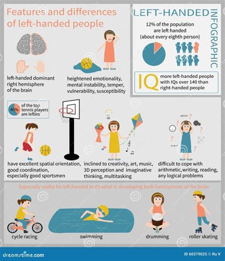 Lefthanded Info graphic stock vector. Illustration of idea 60379025
