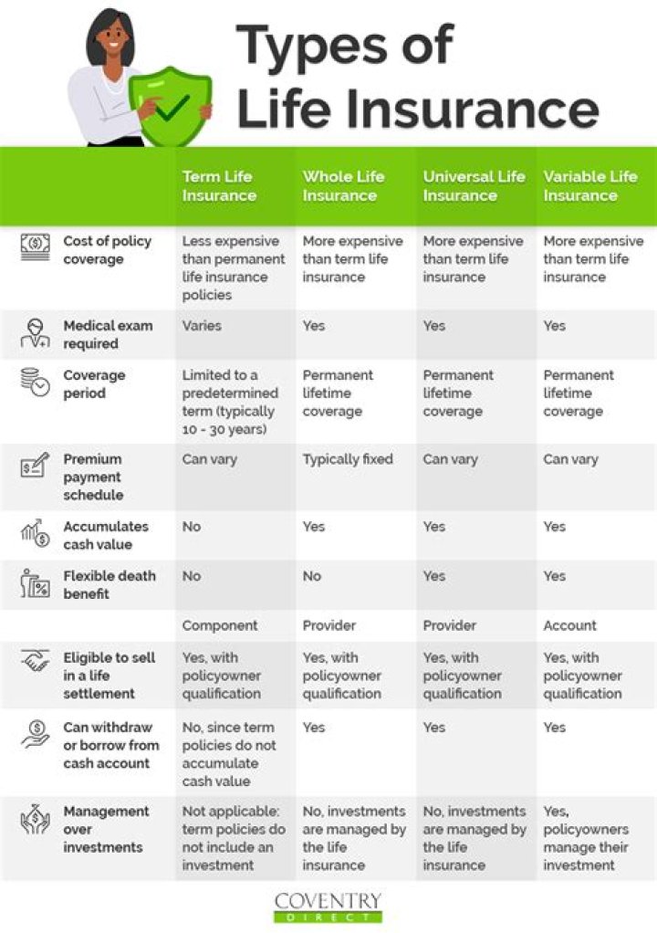Life insurance types ...pinterest.com