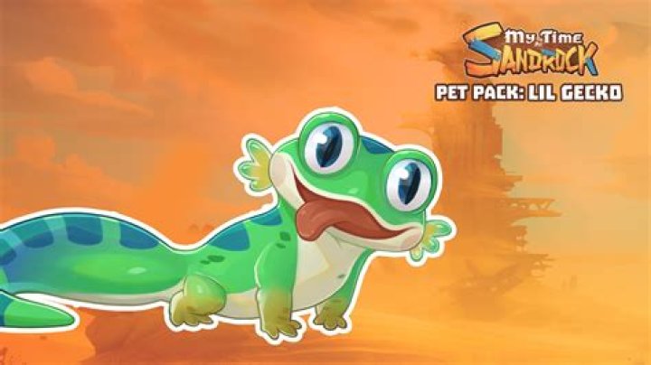 Lil Pete Age Pet Friendly Hotels Near ME