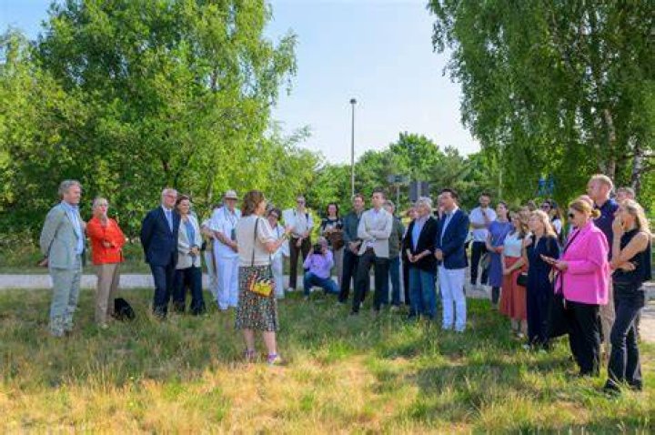Local SEO Specialist Bussum