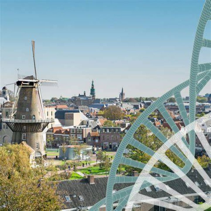 Local SEO Specialist Leiden
