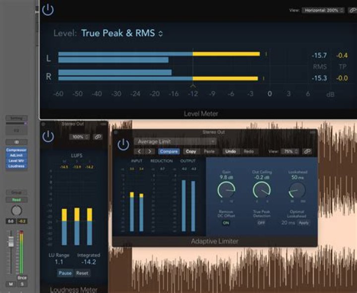 Loudness meter options