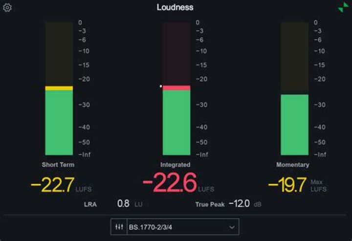 Loudness meter panel maximized