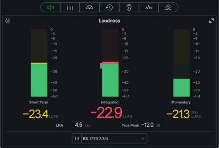 Loudness meter panel