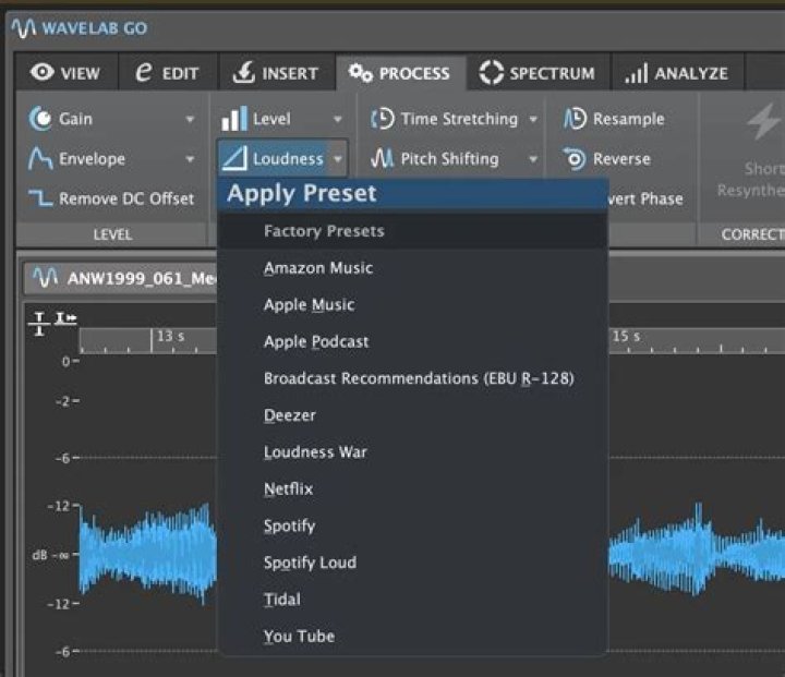 Loudness Standard Target Presets dropdown