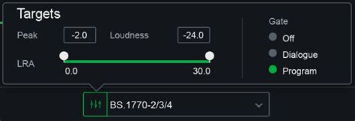 Loudness targets control panel full view