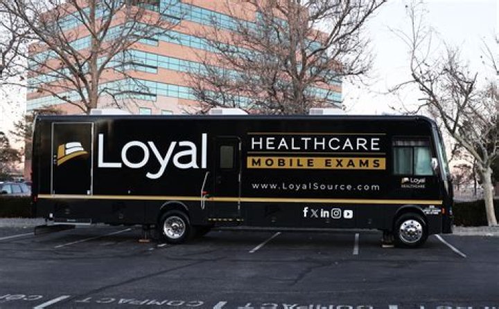 Loyal, Gscteen