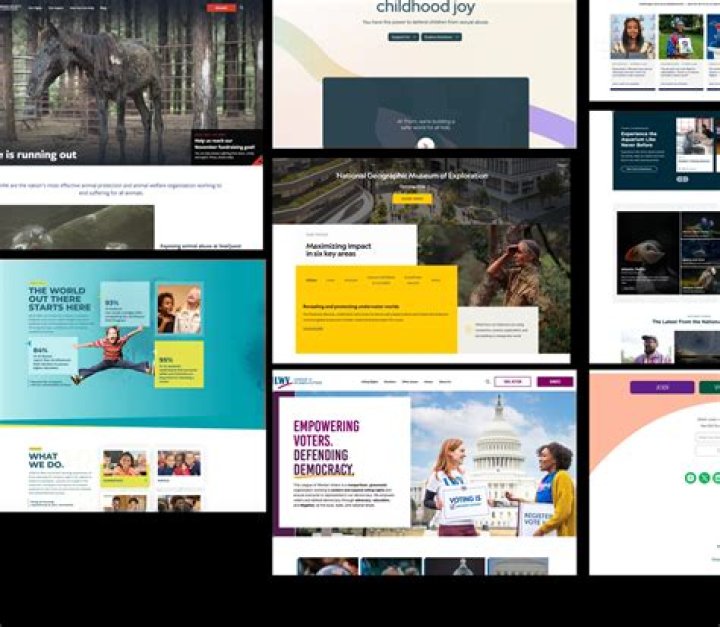 Ltd. is leading top website Designing Company in Delhi serving in India, USA, UK, Canada and Australia.