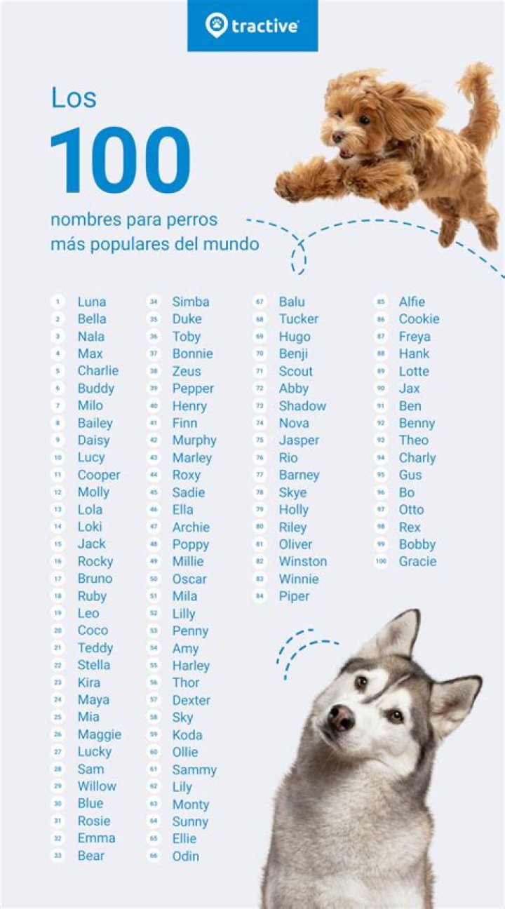 M&aacute;s de 100 mejores nombres de paladines para tus personajes de Dungeons