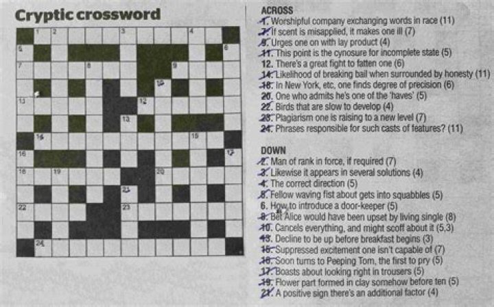 Make cryptic Crossword Clue Answer Playing History