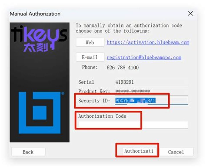 Manual Authorization window