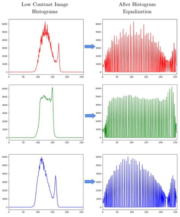 Masking Histogram in Display