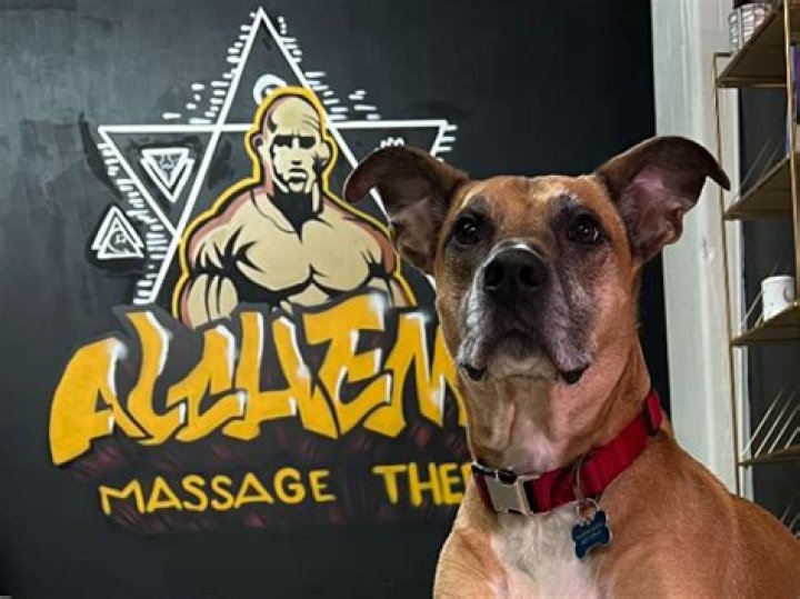 Massage Therapy Louisville KY 40206