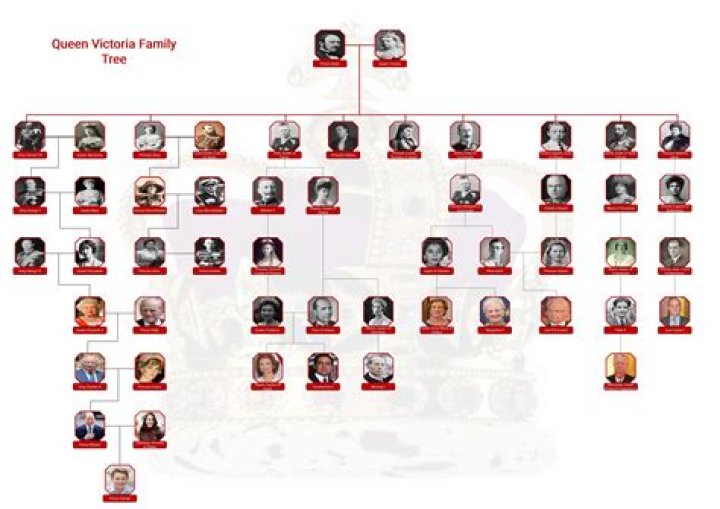 Matthew Dellavedova Family Tree Parents, Siblings, & Wife! The World