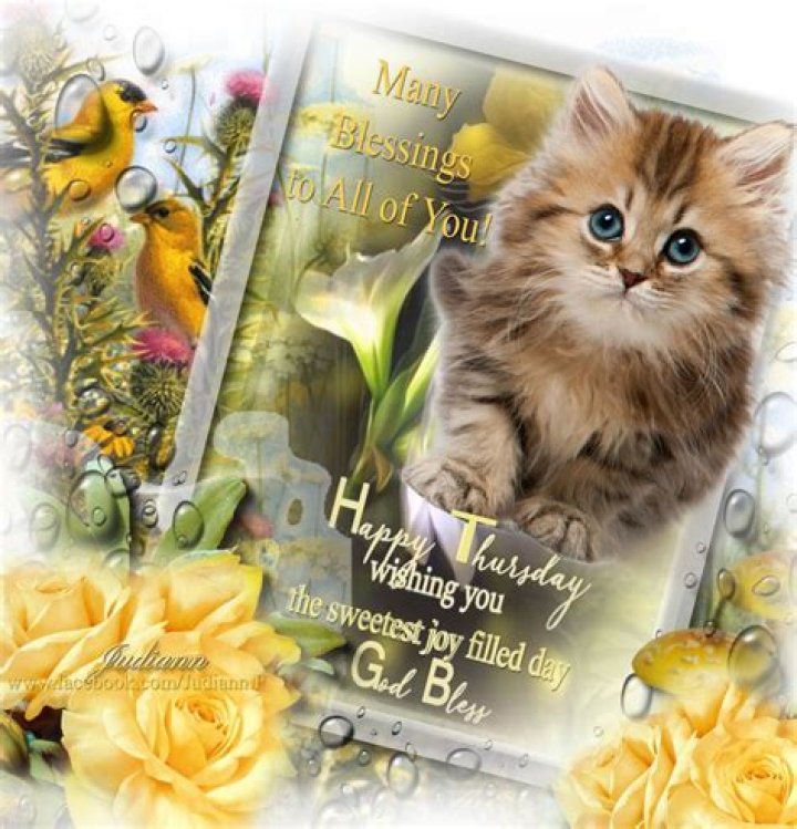 May Blessings To All Of You! Happy Thursday Pictures, Photos, and
