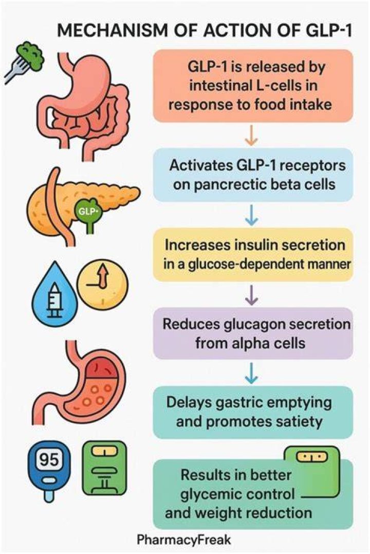 Mechanism Of Action, Gsctwo