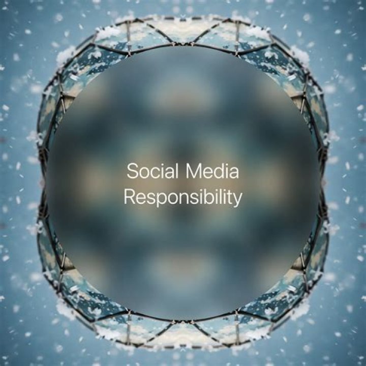 Media Responsibility, Webshubz