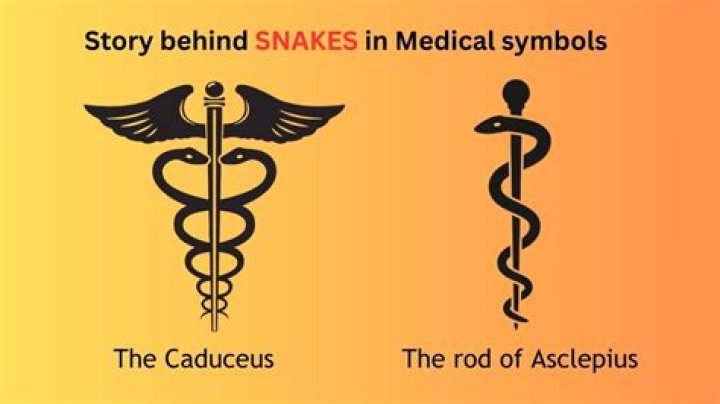 Medical Significance, Gscone