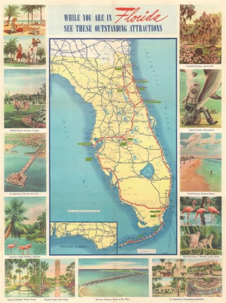 miss florida Archives FanBuzz