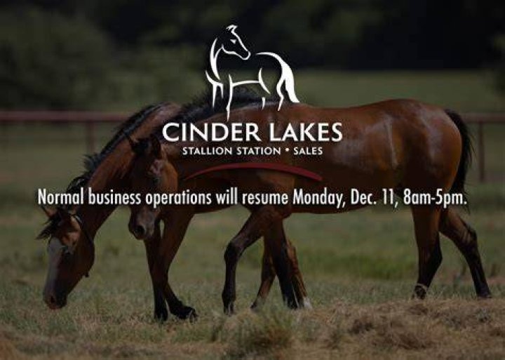 Missing Cinder Lakes Ranch owner Rick Ford found yet or not ASIAN EDU