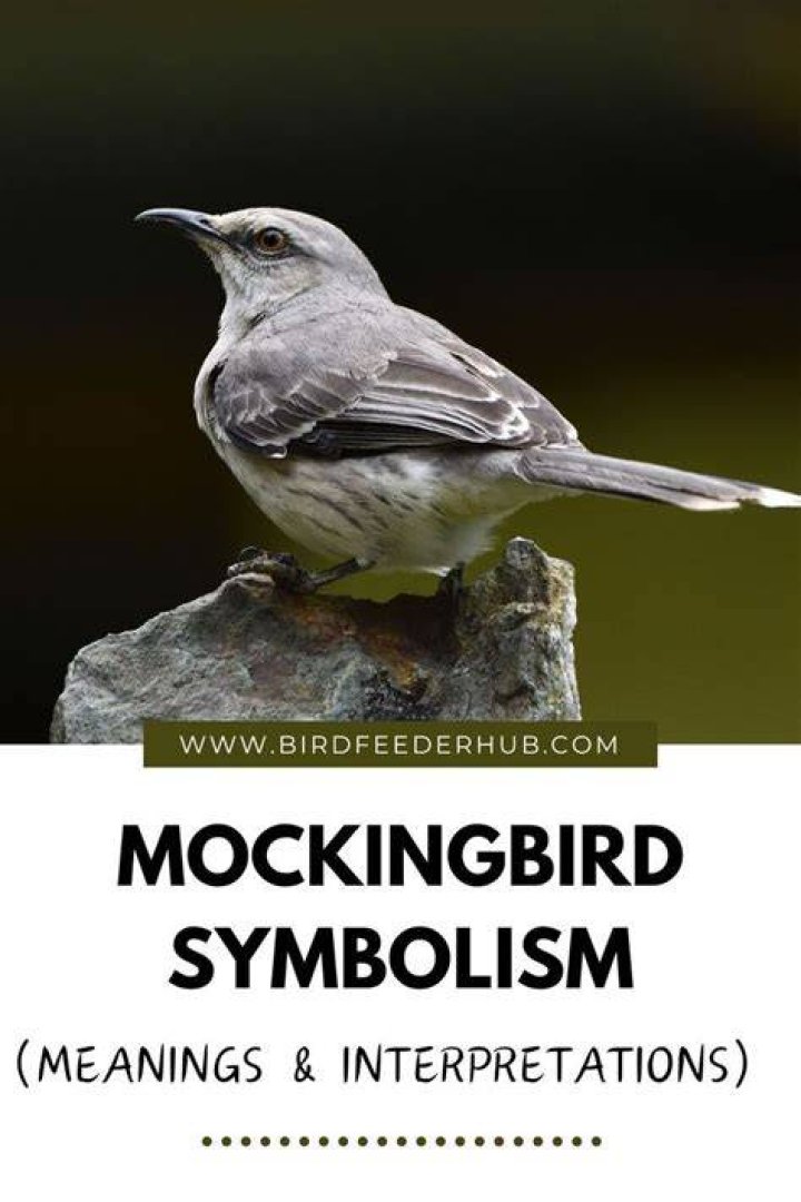 Mockingbird Symbolism, Gscthree