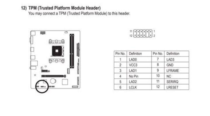 Module Header