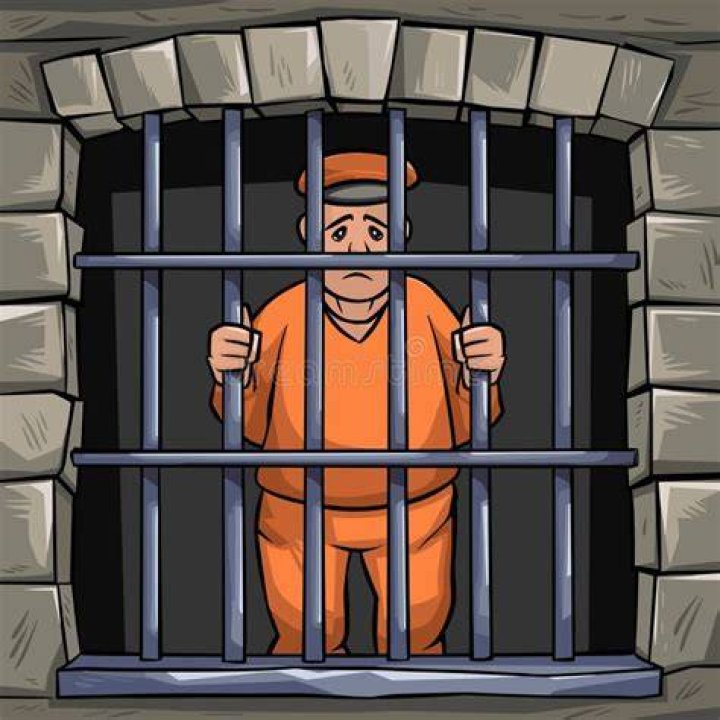 Molly Nobbit Jail: The Intriguing Story Behind The Bars