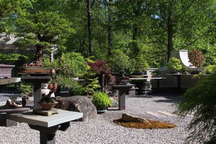Momiji Garden, 2901 BC-7A, Vancouver, BC V5K 2A1