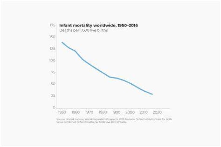 Mortality, Webshubz