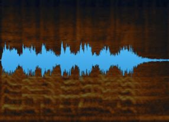 mostly waveform