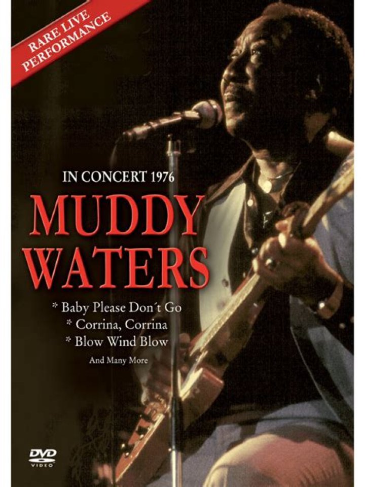 Muddy Waters In Concert At CW Post College 1977 Nights At The